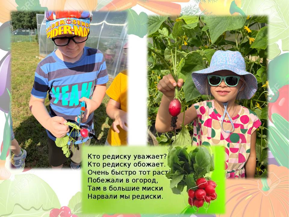 Слайд1