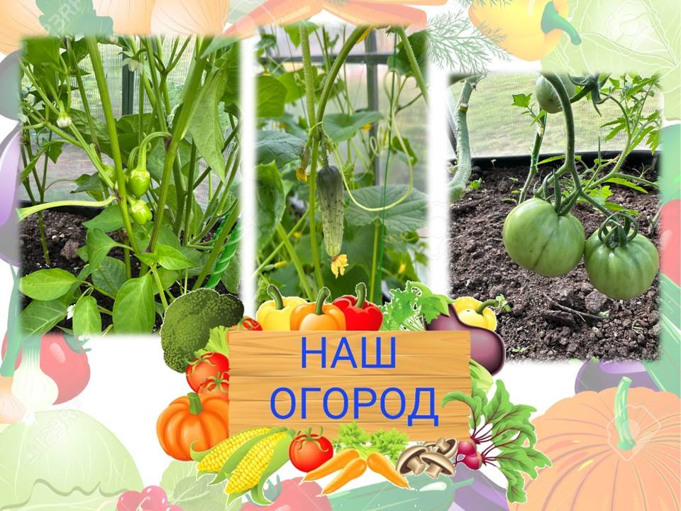 Слайд2